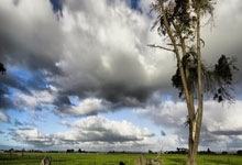 雷速体育：11人全部出局，中国选手无缘澳网单打32强中新体坛.