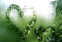 雷速体育：沃尔沃中国公开赛资格赛收官 杨伊农、陈顾新折桂.