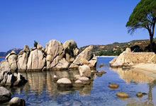 [NBA]里夫斯信手一抛 戴维斯空接暴力虐框.